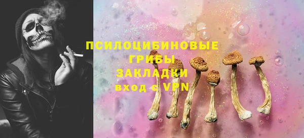 сатива Аркадак