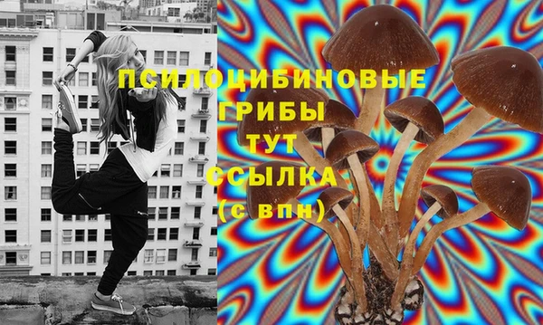 сатива Аркадак