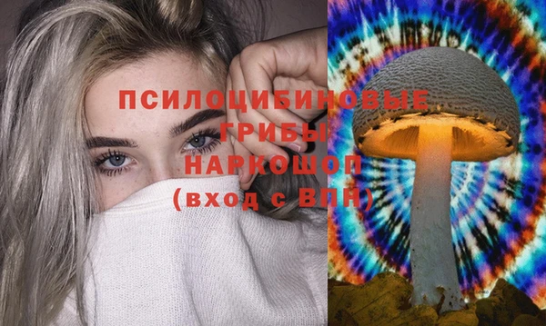 дурь Армянск