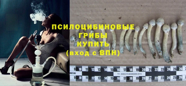 сатива Аркадак