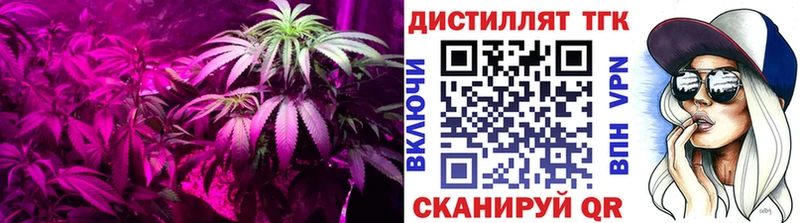 как найти наркотики  нарко площадка клад  ТГК гашишное масло  Тейково 