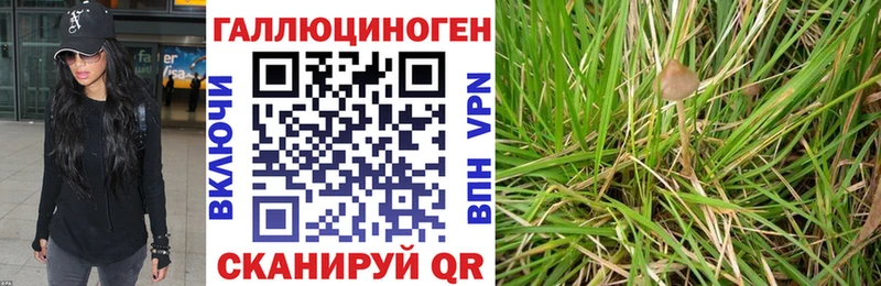 Псилоцибиновые грибы мицелий  Тейково 
